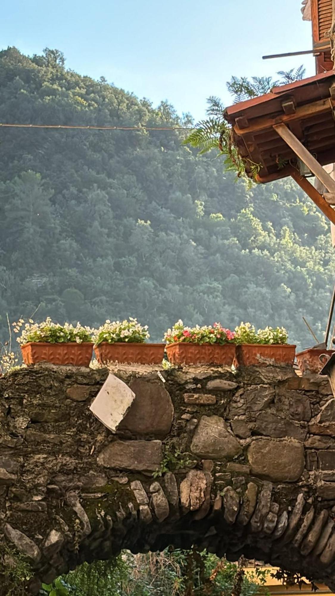 Iconic Italian Townhouse W Rooftop Terrace & Mountain View, Пинья Экстерьер фото